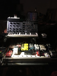 Pedal Steel 1